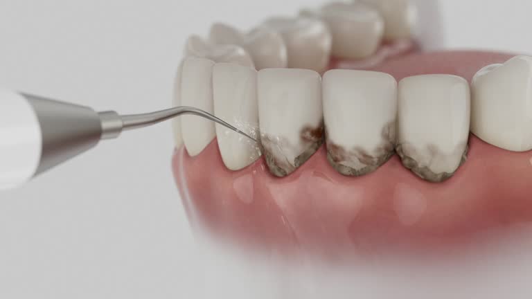 Reliable Dental contractor in Hastings, MI by Dentist Open Now